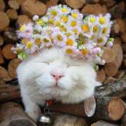 ヒメ日記 2026/03/18 11:59 投稿 あき THE・TRY