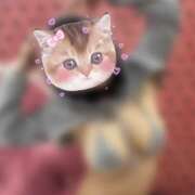 あき みてみて〜！ THE・TRY