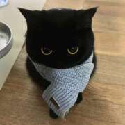 あき おはよう THE・TRY