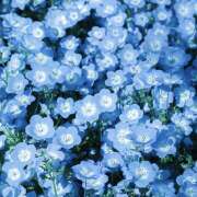 あき 朝起きたら！ THE・TRY