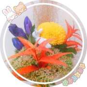 ヒメ日記 2025/10/07 17:00 投稿 ゆきの チェリー新宿店