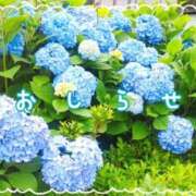 ヒメ日記 2026/06/11 20:15 投稿 ゆきの チェリー新宿店