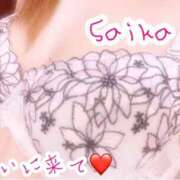 ヒメ日記 2024/12/24 12:42 投稿 彩加(さいか) 相模原人妻城