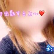 ヒメ日記 2024/12/26 15:18 投稿 彩加(さいか) 相模原人妻城