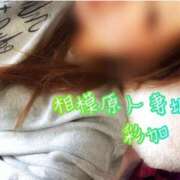 ヒメ日記 2025/01/19 14:18 投稿 彩加(さいか) 相模原人妻城