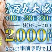 ヒメ日記 2023/11/30 10:27 投稿 大地【だいち】 丸妻 西船橋店