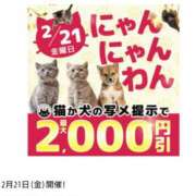 ヒメ日記 2025/02/19 12:02 投稿 大地【だいち】 丸妻 西船橋店