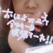 ヒメ日記 2025/11/11 10:11 投稿 大地【だいち】 丸妻 西船橋店