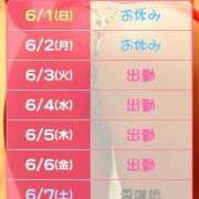 ヒメ日記 2025/06/01 11:38 投稿 しぐれ 土浦ハッピーマットパラダイス