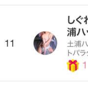 ヒメ日記 2025/10/16 17:09 投稿 しぐれ 土浦ハッピーマットパラダイス