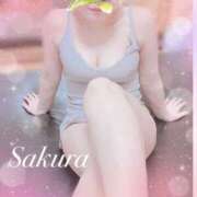 ヒメ日記 2025/02/09 01:15 投稿 さくら SWEET～berta～