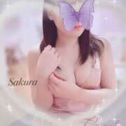 ヒメ日記 2025/03/20 18:05 投稿 さくら SWEET～berta～