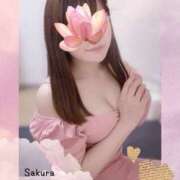 ヒメ日記 2025/04/23 14:45 投稿 さくら SWEET～berta～