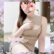 ヒメ日記 2025/04/23 19:35 投稿 さくら SWEET～berta～