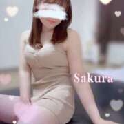 ヒメ日記 2025/06/04 00:05 投稿 さくら SWEET～berta～