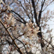ヒメ日記 2025/03/28 14:25 投稿 なつき 奥鉄オクテツ大阪