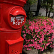 ヒメ日記 2025/04/08 12:45 投稿 なつき 奥鉄オクテツ大阪