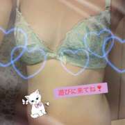 ヒメ日記 2026/02/25 10:52 投稿 ななは ハピネス福岡