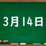 ヒメ日記 2024/03/14 04:46 投稿 花蓮-karen- MANDALA