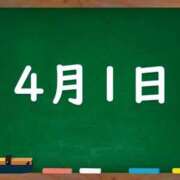 ヒメ日記 2025/04/01 02:56 投稿 花蓮-karen- MANDALA