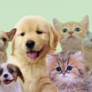 ヒメ日記 2025/06/15 10:15 投稿 花蓮-karen- MANDALA