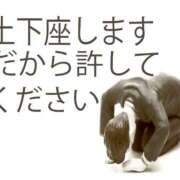 ヒメ日記 2025/07/17 07:25 投稿 花蓮-karen- MANDALA