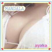 ヒメ日記 2024/04/10 10:35 投稿 綾香-ayaka- MANDALA