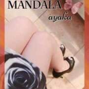 ヒメ日記 2025/02/21 10:27 投稿 綾香-ayaka- MANDALA