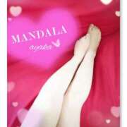 ヒメ日記 2025/07/24 10:32 投稿 綾香-ayaka- MANDALA