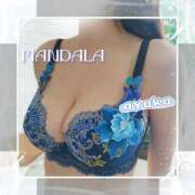 ヒメ日記 2025/08/28 10:44 投稿 綾香-ayaka- MANDALA