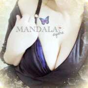 ヒメ日記 2025/09/05 10:53 投稿 綾香-ayaka- MANDALA