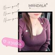 ヒメ日記 2025/10/23 10:29 投稿 綾香-ayaka- MANDALA