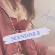 ヒメ日記 2025/11/13 10:30 投稿 綾香-ayaka- MANDALA