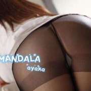 ヒメ日記 2025/12/16 10:33 投稿 綾香-ayaka- MANDALA