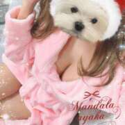 ヒメ日記 2025/12/21 11:10 投稿 綾香-ayaka- MANDALA