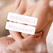 ヒメ日記 2026/06/14 23:52 投稿 綾香-ayaka- MANDALA