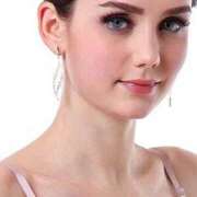 アーチャ イパイオニサンアイタイヨ 愛蜜