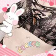 ヒメ日記 2025/02/12 17:41 投稿 ちせい【完全未経験の美女★】 Aroma de TOKYO 岐阜店