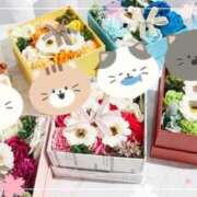 ヒメ日記 2025/02/26 17:51 投稿 ちせい【完全未経験の美女★】 Aroma de TOKYO 岐阜店