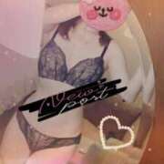 ヒメ日記 2025/04/09 11:51 投稿 ちせい【完全未経験の美女★】 Aroma de TOKYO 岐阜店