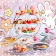 ヒメ日記 2025/04/19 23:01 投稿 ちせい【完全未経験の美女★】 Aroma de TOKYO 岐阜店