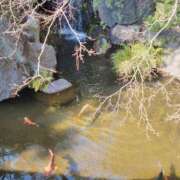 ヒメ日記 2025/03/20 14:02 投稿 ねる【心を揺るがす出逢い★】 Aroma de TOKYO 岐阜店