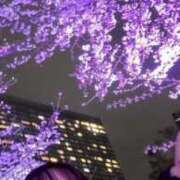 ヒメ日記 2025/04/18 14:01 投稿 ねる【心を揺るがす出逢い★】 Aroma de TOKYO 岐阜店