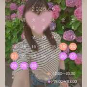 ヒメ日記 2026/06/12 23:21 投稿 ゆりあ【元アイドルの衝撃★】 Aroma de TOKYO 岐阜店