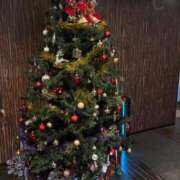 ヒメ日記 2025/11/26 23:31 投稿 ゆめ【魅惑で可憐な大人美女★】 Aroma de TOKYO 岐阜店