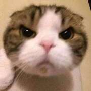 りと ＮＯ‼️ＮＯ‼️ＮＯ‼️ 秒即DE舐めてミント