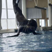 ヒメ日記 2025/05/21 18:44 投稿 あん ぼいんWORK