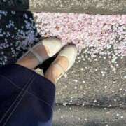 ヒメ日記 2025/04/12 11:04 投稿 はつね 東京リップ 立川店