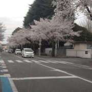 ヒメ日記 2026/04/04 14:23 投稿 よしこ 熟女の風俗最終章 宇都宮店