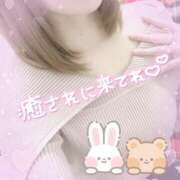 ヒメ日記 2026/02/19 11:10 投稿 りあ ディアクイーンズ